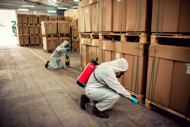 Best Cockroach Control Services  in Beaver Dam, AZ