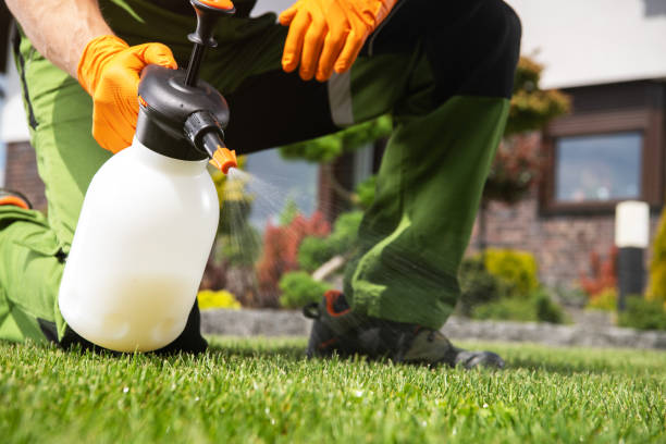 Best Flea Control Services  in Beaver Dam, AZ
