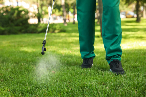 Best Flea Control Services  in Beaver Dam, AZ