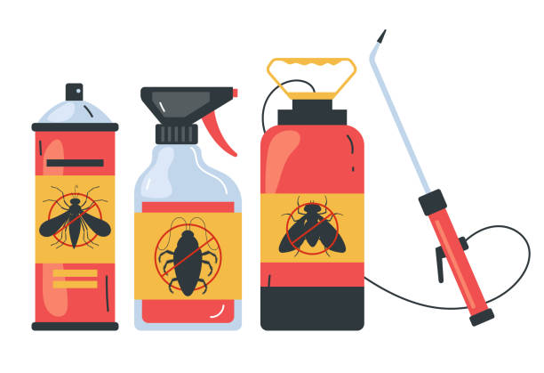 Best Insect Control  in Beaver Dam, AZ